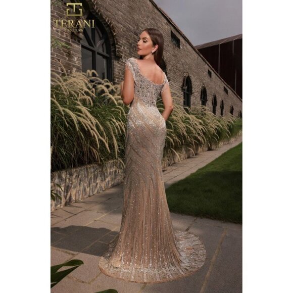 Silver Nude Sleeveless Elegant Fitted Tulle Formal Evening Dress - Picture 3 of 3